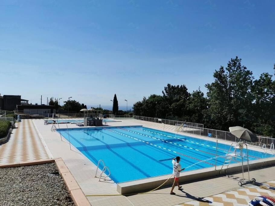 Apartment Du Soleil Rez De Jardin Avec Parking Gratuit *